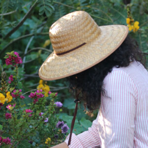 Alternative view of Gloria